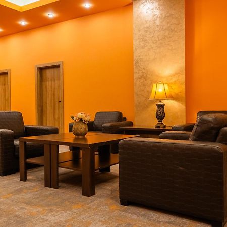 Pensiunea Floarea Soarelui Brasov Ngoại thất bức ảnh